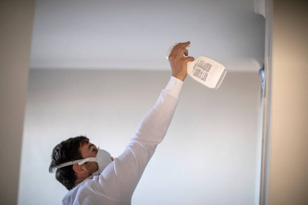Best Water Damage Restoration  in Central High, OK