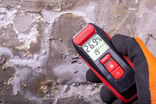 Best Home Mold Removal  in Central High, OK