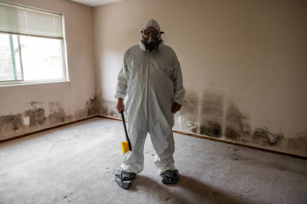 Best Crawl Space Mold Removal  in Central High, OK