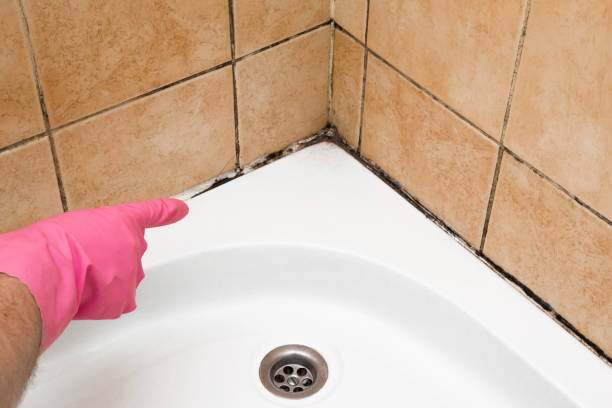 Central High, OK Mold Removal Pros